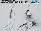Rapeman - Two Nuns And A Pack Mule Vinyl LP Record