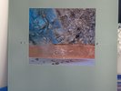 LP DIF JUZ - Extractions    UK 4AD
