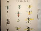 Syd Barret LP Barrett 1970 Harvest SHSP 4007 UK Textured Cover Pink Floyd