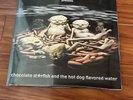 Limp Bizkit Chocolate Starfish The Hot Dog Flavored Water Red Clear Split Vinyl