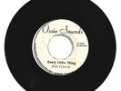 ROD TAYLOR / EVERY LITTLE THING / VERSION / 7''