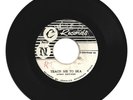LORD BRYNER / TEACH ME TO SKA / CONGO WAR / 7''