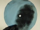 BEATLES REVOLUTION X-Ray USSR Record Roentgen Bone Ribs Music Vinyl