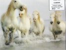 Georg Danzer, Garish - White Horses (7