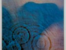 Vtg PINK FLOYD Album MEDDLE Record 1983 PRESSING Vinyl ECHOES Lp OG NEAR MINT