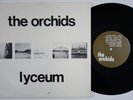 ORCHIDS Lyceum RARE UK 10