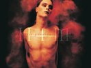 Him Greatest Love Songs Vol. 666 LP Vinyl NEW