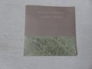 CHAIRLIFT Amanaemonesia / Peculiar Paradise TERRIBLE RECORDS RARE PROMO 7
