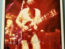 Paul Weller Live Wood 12