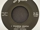 Jimmy Dotson and The Blue Boys 1959 Blues 45 on Zynn   I Wanna Know   Hear