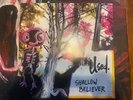 The Used Shallow Believer LP Blue Vinyl RSD 2015 Exclusive RARE (#412284-1)
