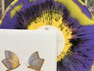 SHIRLEY COLLINS Heart's Ease LTD Violet Vinyl LP w. 7