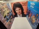 3 Mylon Lefevre & Broken Heart LPS, Live Forever+ Sheep in Wolves Clothing+More