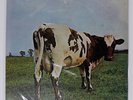 PINK FLOYD ATOM HEART MOTHER HARVEST OP80102 Japan VINYL LP