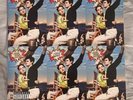Lana Del Rey Norman Fucking Rockwell NFR Lime Green Vinyl Record LP Alt Cover