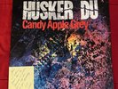 Husker Du Candy Apple Grey Vinyl Autographed By Grant Hart RARE
