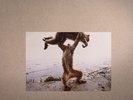 SHELLAC - Dude Incredible - Vinyl (180 gram vinyl LP + CD)