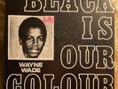 WAYNE WADE black is our color VIVIAN JACKSON ja VG+/VG- re