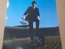 pink floyd --rare  --   lp' - picture disc