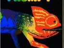 Frumpy - All Will Be Changed (LP, Album, Gat) (Very Good (VG)) - 3296330633