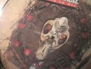 Boehse Onkelz picture lp ich bin in Dir neu mint