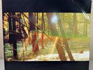 Camp by Childish Gambino (Vinyl) - OPEN