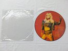 SAMANTHA FOX Picture Disc Love House 12