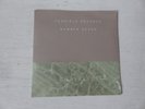 CHAIRLIFT Amanaemonesia / Peculiar Paradise TERRIBLE RECORDS RARE PROMO 7