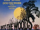 Into The Woods - Stephen Sondheim; Original Cast (1987) RCA 6796-1-RC; VG+