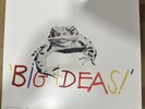 REMI WOLF Big Ideas Vinyl LP Frog Rock Edition Blood Records /500