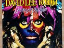 David Lee Roth LP Sonrisa Salvaje WARNER BROS Original (1986) PROMO - RARE