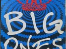 AEROSMITH 1994 “BIG ONES” SCARCE VINYL PRESS 2 LP DOUBLE SET + INSERTS BRAZIL