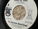 very rare 45 obscure vinyl CHOCOLATE WATCH BAND 1967 PROMO garage psych