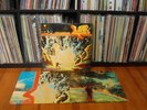 The Flaming Lips – At War With The Mystics. Lp.