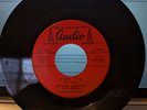 45 Chuck Daniels & the Downbeats on Audio TINY TIM/Saturday Nite on the Moon R&B