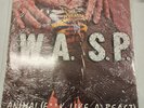 WASP Animal F**K Like A Beast IMPORT Mint Vinyl LP