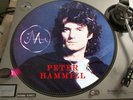 Peter Hammill – Ferret And Featherbird 12