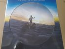 pink floyd --rare  --  lp' - picture disc   1-