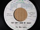 The Bleu Lights - They Don't Know My Heart - BAY SOUND 67003 VG+/M- SOUL