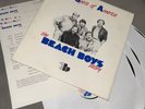 The Beach Boys Story The Spirit Of America 3x lp radio program interview music