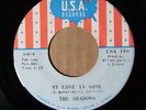 The Shadows - My Love Is Gone - USA 106 VG+ SOUL