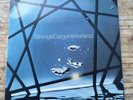 WILLIAM ORBIT STRANGE CARGO 