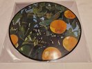 Violet Bent Backwards over the Grass by Lana Del Rey Picture Disc Vinyl