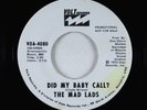 Crossover Soul 45 - Mad Lads - Did My Baby Call? - Volt VG++