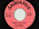 Funk Psych 45 - Purple Snow - Down By The River - Saquarius