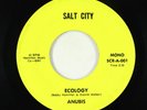 70s Soul Jazz/Funk 45 - Anubis - Ecology - Salt City - rare
