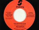 Modern Soul Boogie 45 - Motherfox - Fallen Into Love - Shabang VG+