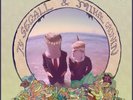 Ty Segall - Reverse Shark Attack, LP, (Vinyl)