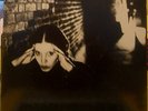 LENE LOVICH LP STATELESS STIFF UK RED VINYL LUCKY NUMBER 1978