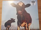 The FLK We Know Where The Time Goes Ltd Ed LP 230 Pressed UTTER23 2023 & insert.
